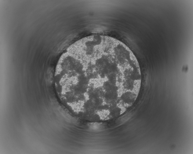 X0000110890273200907301550