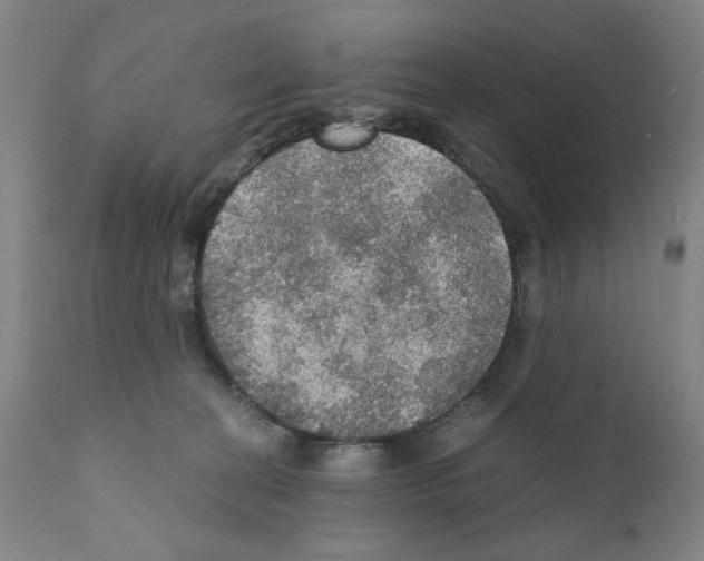 X0000110890274200907301550
