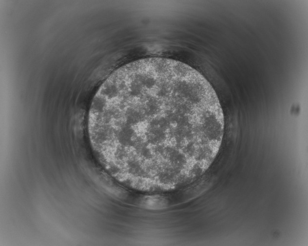 X0000110890275200907301550