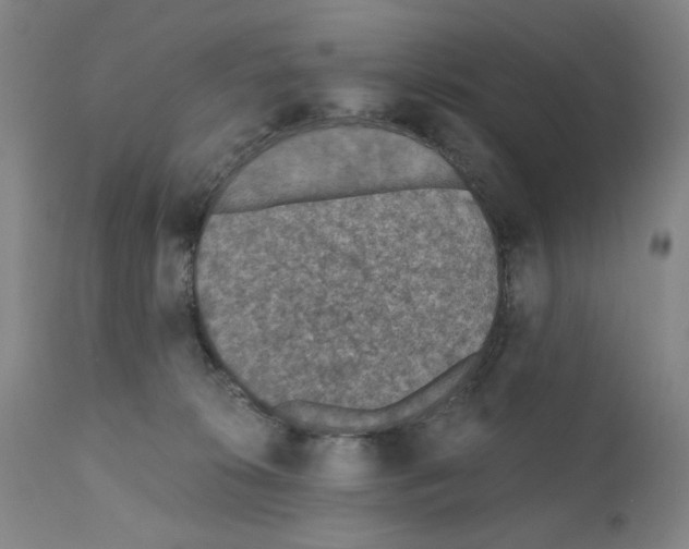 X0000110890276200907301550
