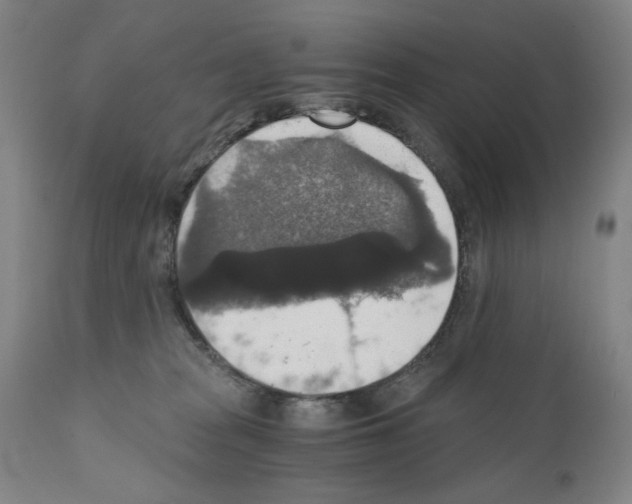 X0000110890277200907301550