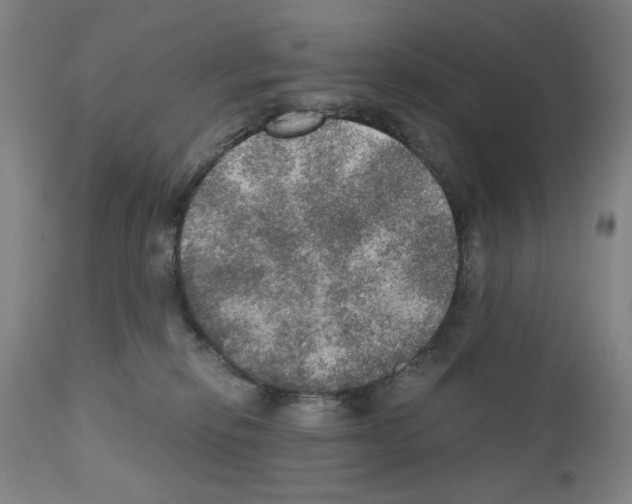 X0000110890278200907301550