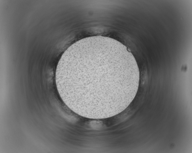 X0000110890279200907301550