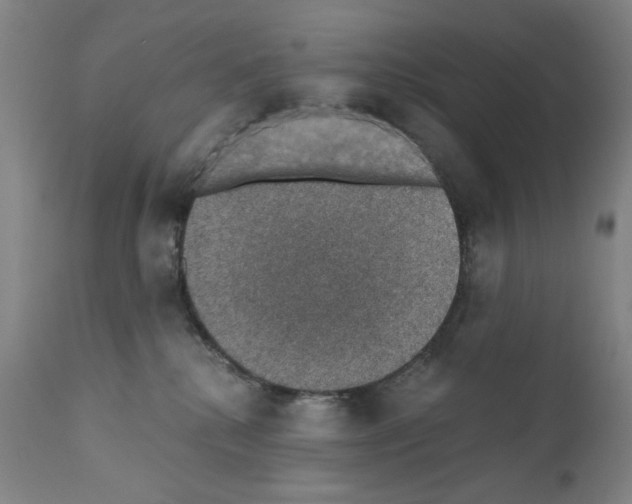 X0000110890280200907301550
