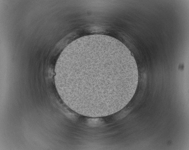 X0000110890281200907301550