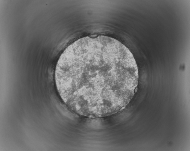 X0000110890282200907301550