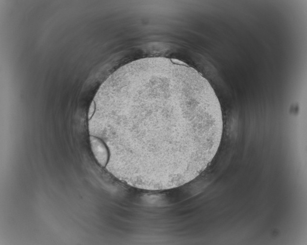 X0000110890283200907301550