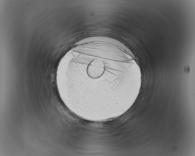 X0000110890284200907301550