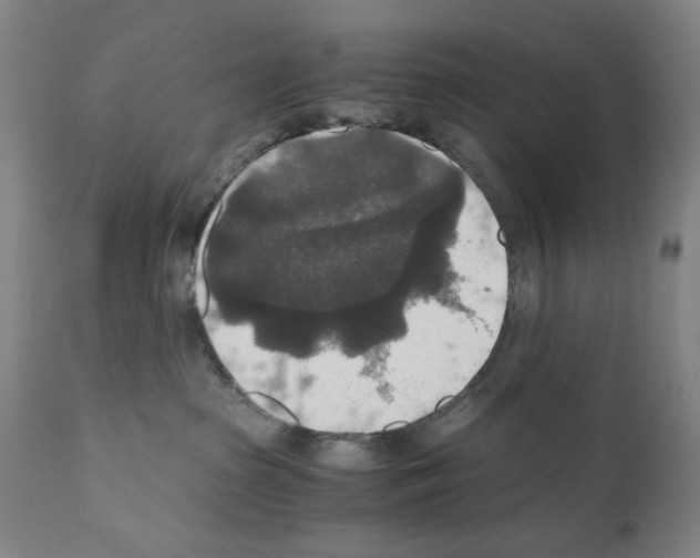 X0000110890285200907301550