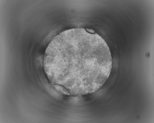 X0000110890286200907301550