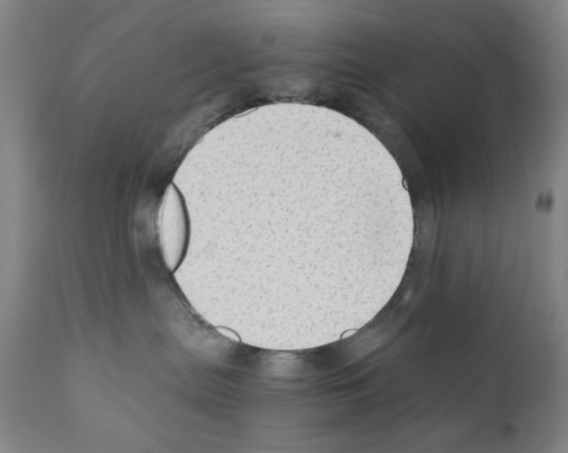 X0000110890287200907301550