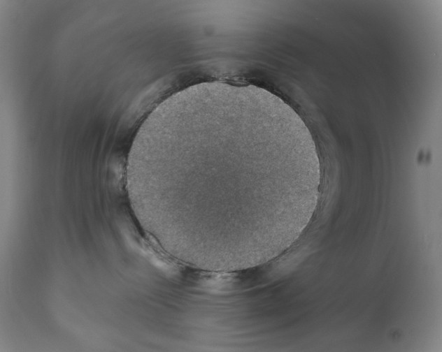 X0000110890288200907301550