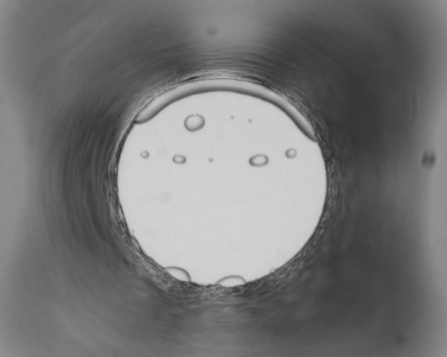 X0000110890289200907301549