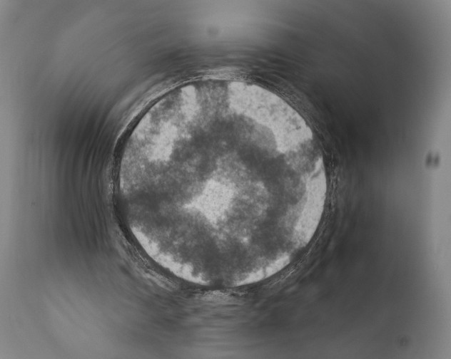 X0000110890290200907301549
