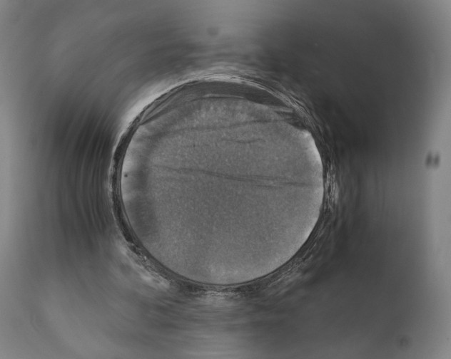 X0000110890292200907301549