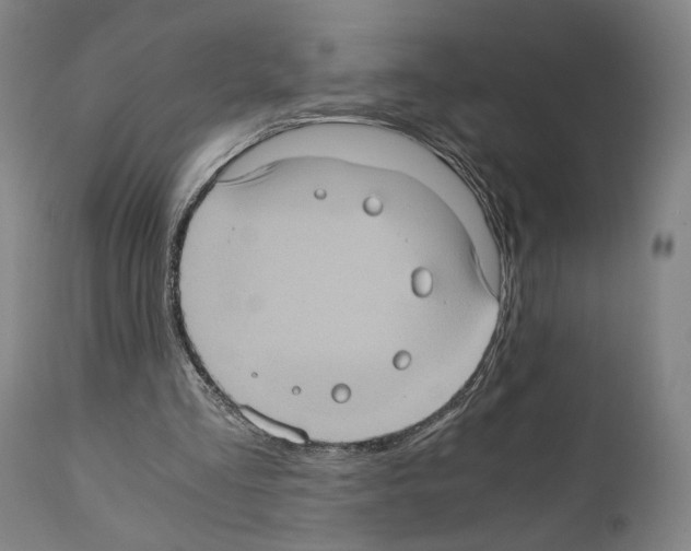 X0000110890293200907301549