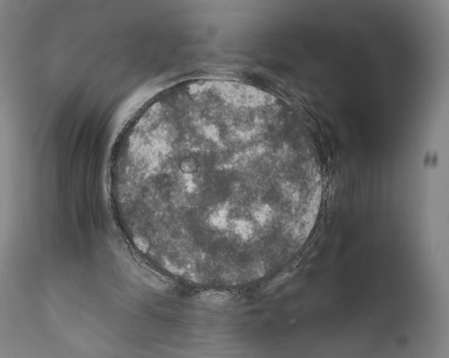 X0000110890294200907301549