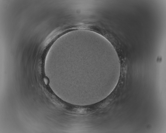 X0000110890295200907301549