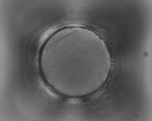 X0000110890296200907301549
