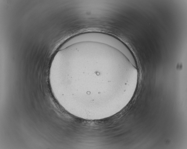 X0000110890297200907301549