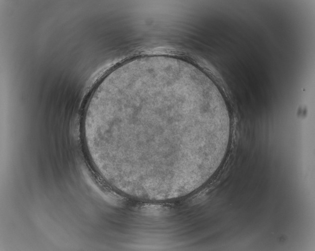 X0000110890298200907301549
