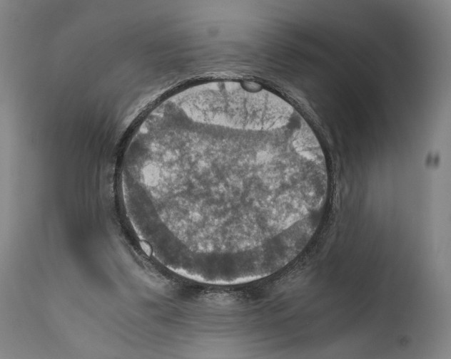 X0000110890299200907301549