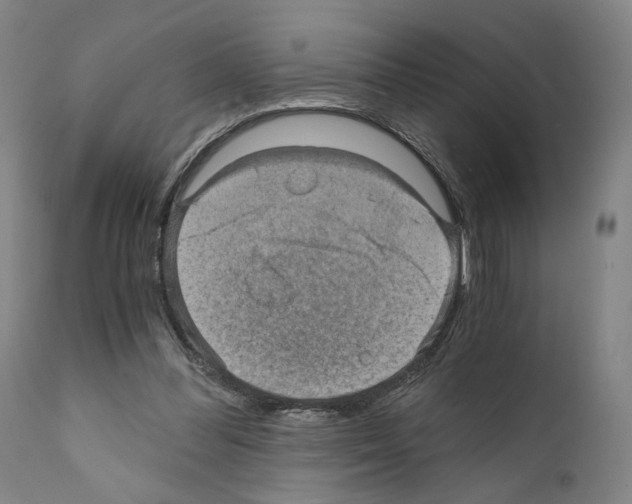 X0000110890300200907301549