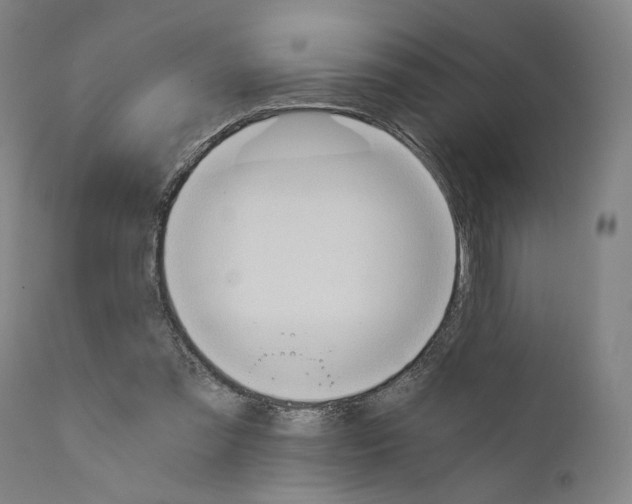 X0000110890301200907301549