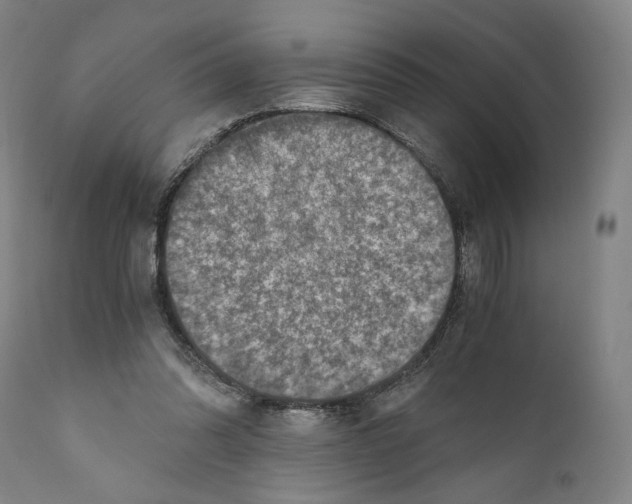 X0000110890302200907301549