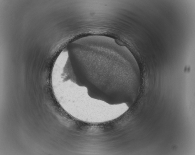 X0000110890303200907301549