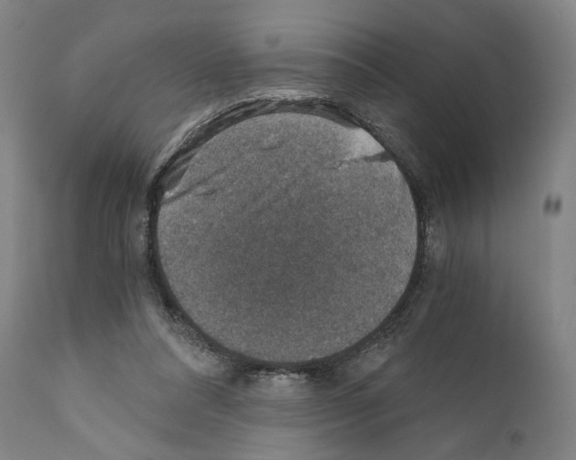 X0000110890304200907301549