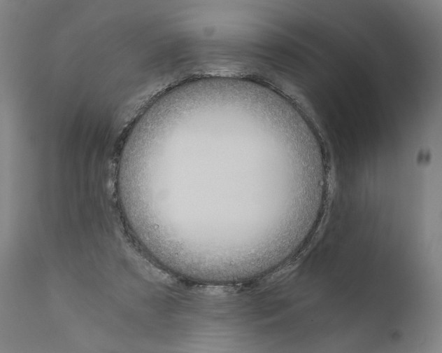 X0000110890305200907301549