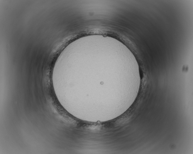 X0000110890306200907301549