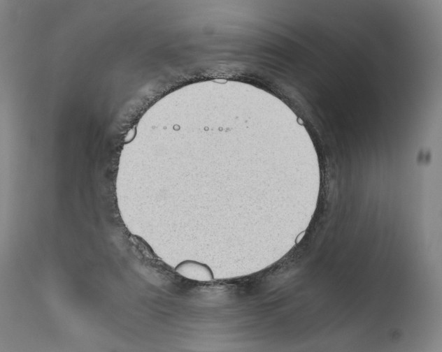 X0000110890307200907301549