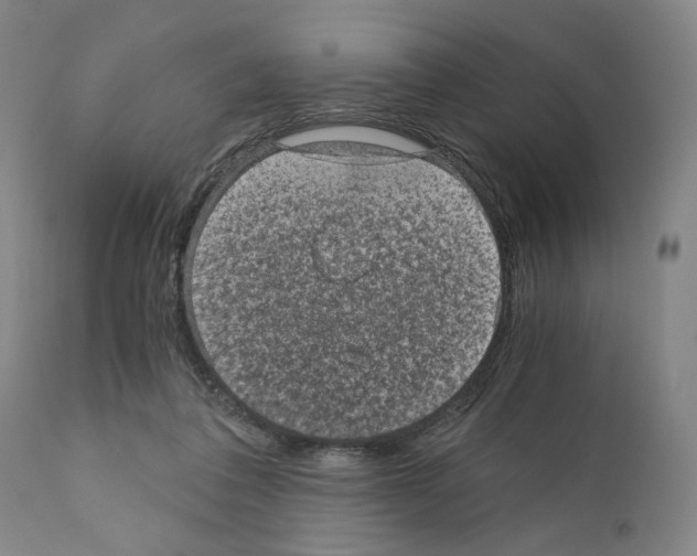 X0000110890308200907301549