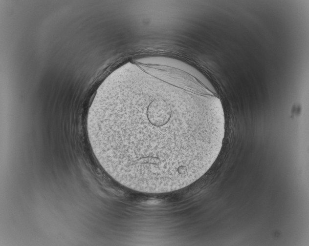X0000110890312200907301549