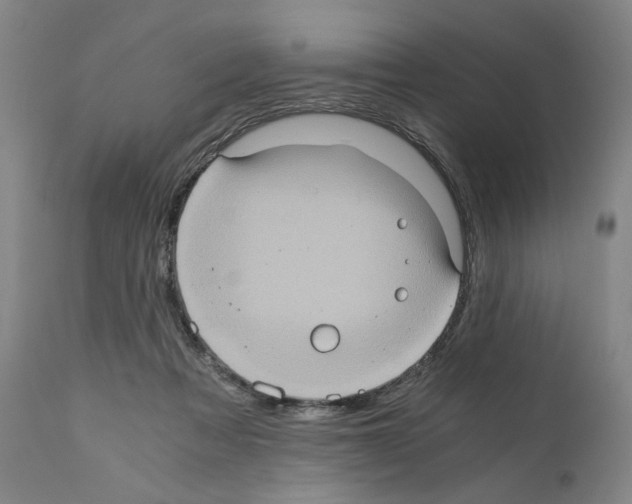 X0000110890313200907301549