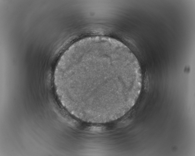 X0000110890314200907301549
