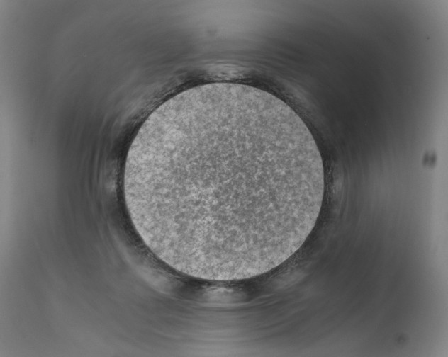 X0000110890315200907301549