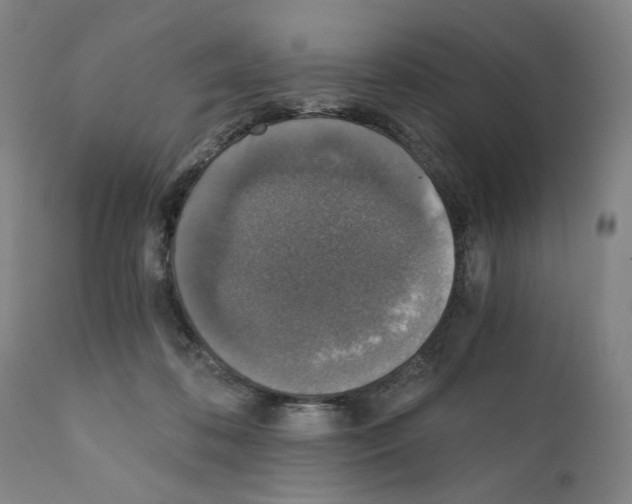 X0000110890316200907301549