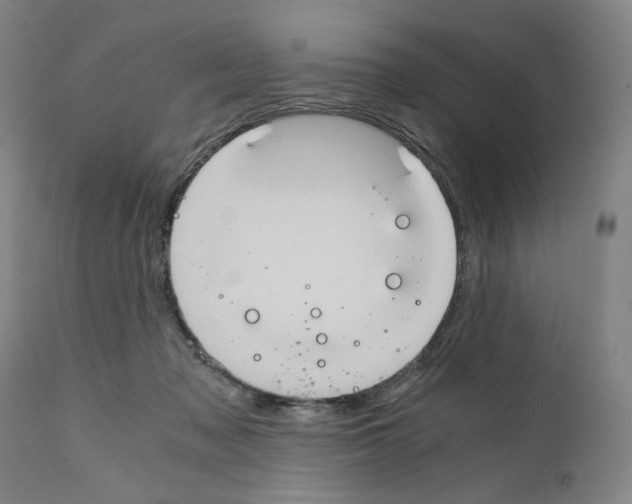 X0000110890317200907301549