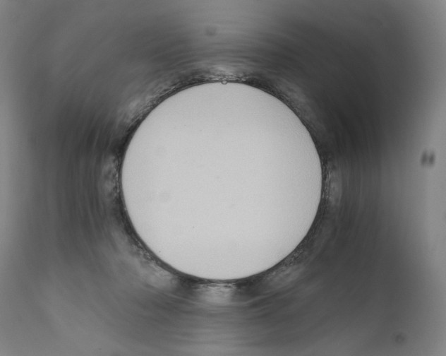 X0000110890318200907301549