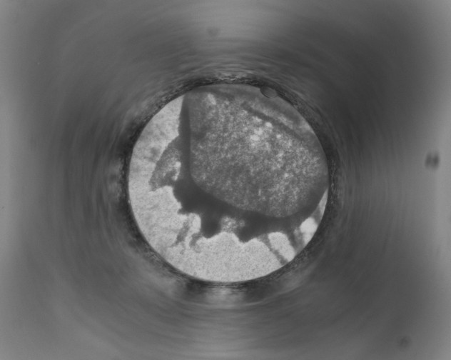 X0000110890319200907301549