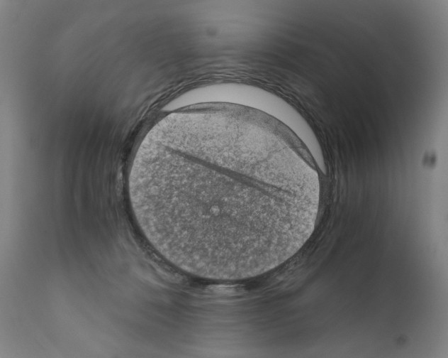 X0000110890320200907301549