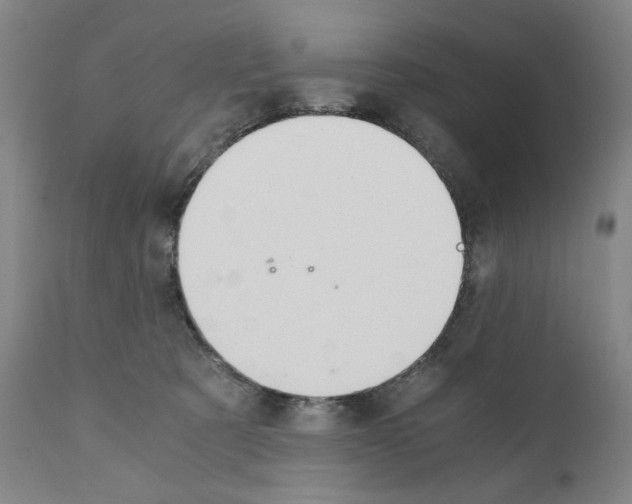 X0000110890321200907301548
