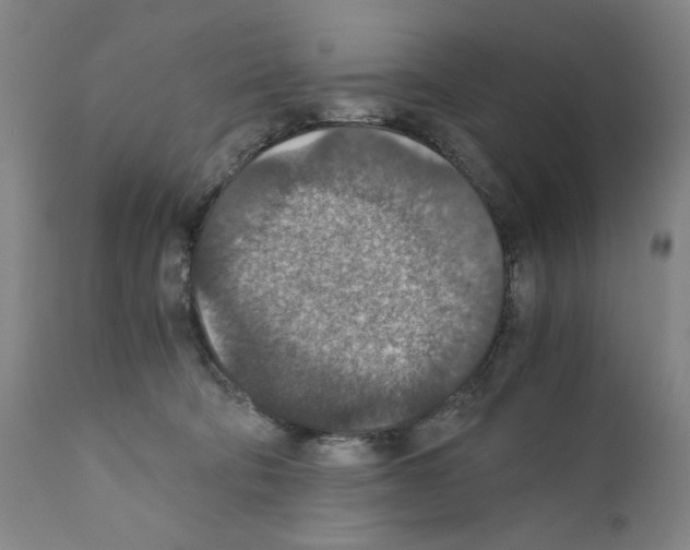 X0000110890322200907301548