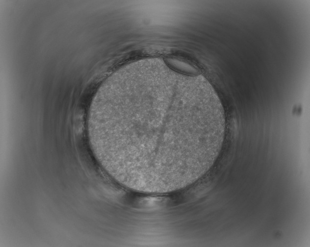 X0000110890323200907301548