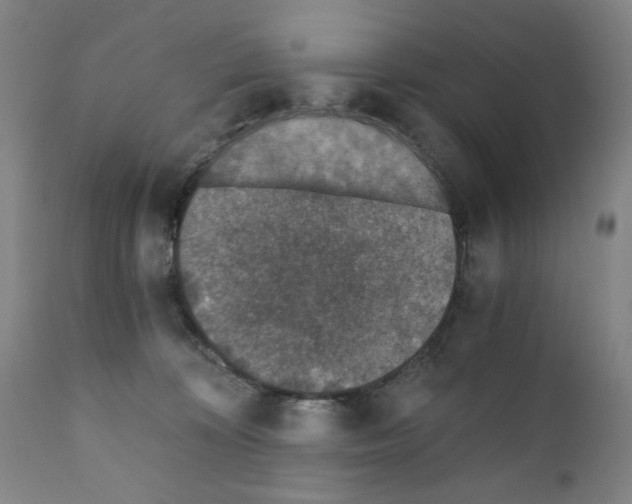 X0000110890324200907301548