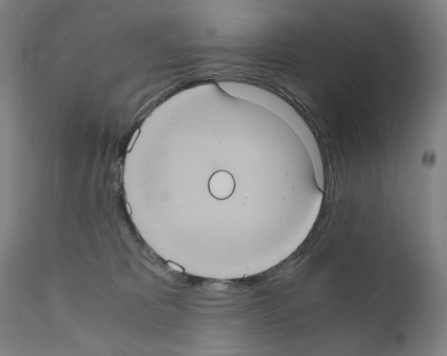 X0000110890325200907301548