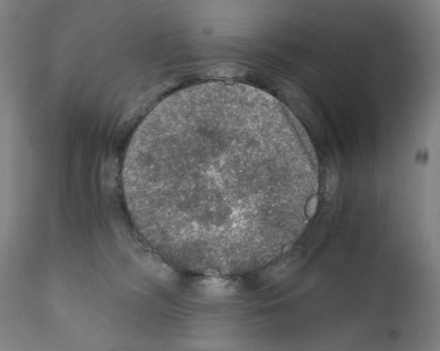 X0000110890326200907301548